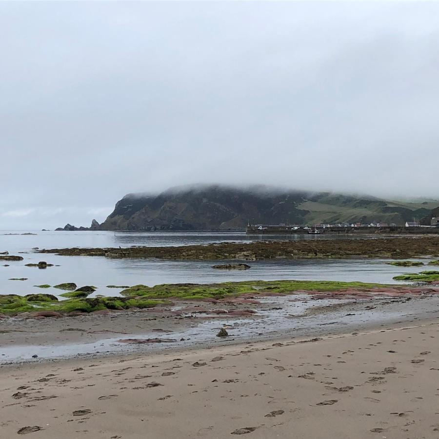 הוילה Gardenstown Puffins Nest מראה חיצוני תמונה